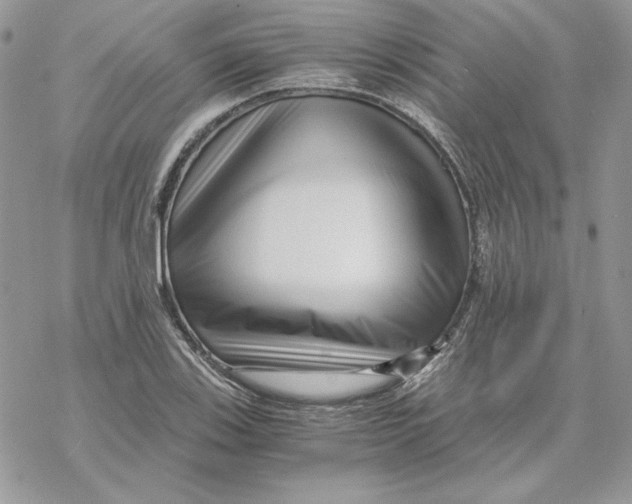 X0000069411123200606021715