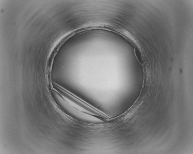 X0000069411124200606021715