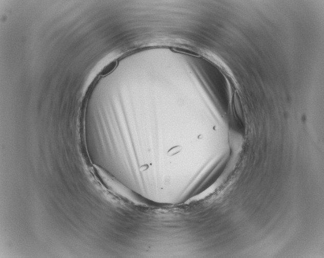 X0000069411138200606021715