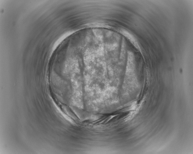X0000069411141200606021715