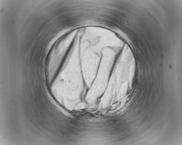 X0000069411142200606021715