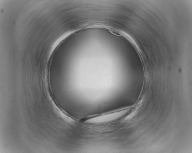 X0000069411149200606021715