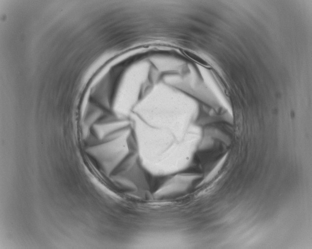 X0000069411151200606021715