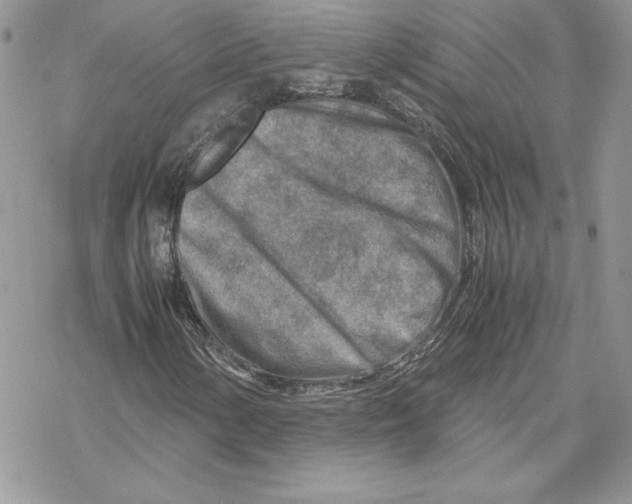 X0000069411154200606021714