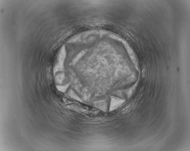 X0000069411156200606021714