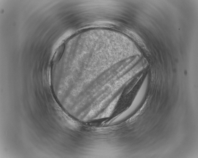 X0000069411180200606021714