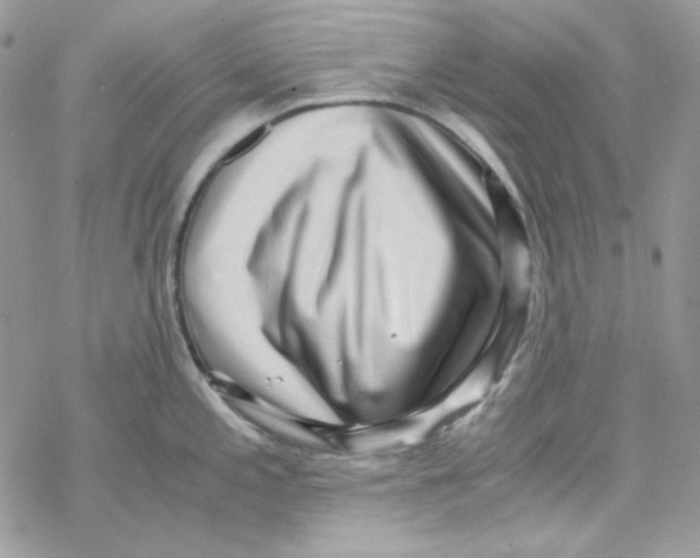X0000069411197200606021714