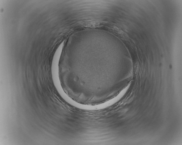 X0000069411202200606021713