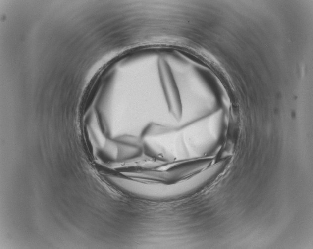 X0000069411230200606021713