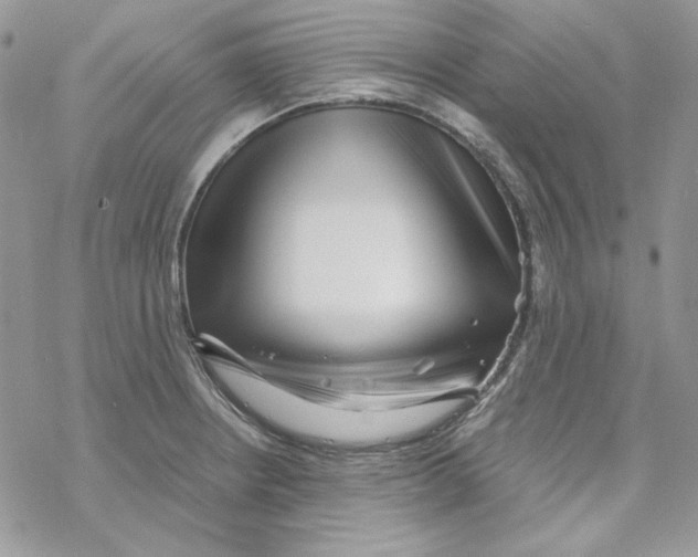 X0000069411234200606021713