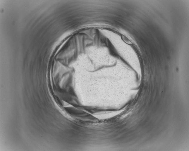 X0000069411237200606021713