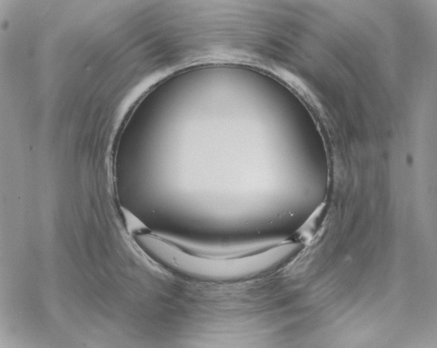 X0000069411238200606021713