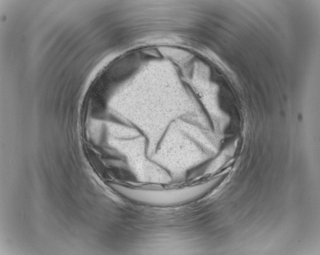 X0000069411240200606021713