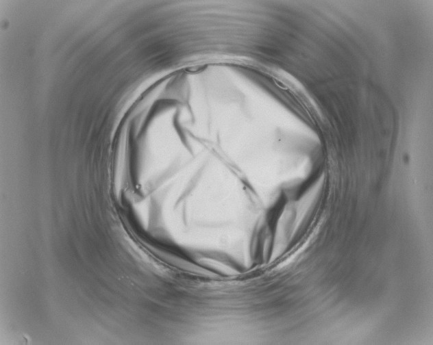 X0000069411244200606021714