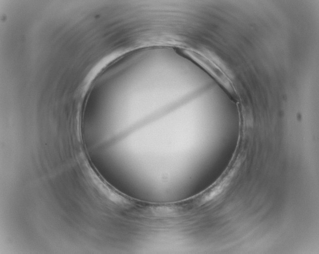 X0000069411246200606021714