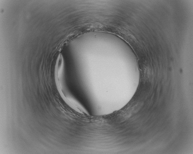 X0000069411250200606021713