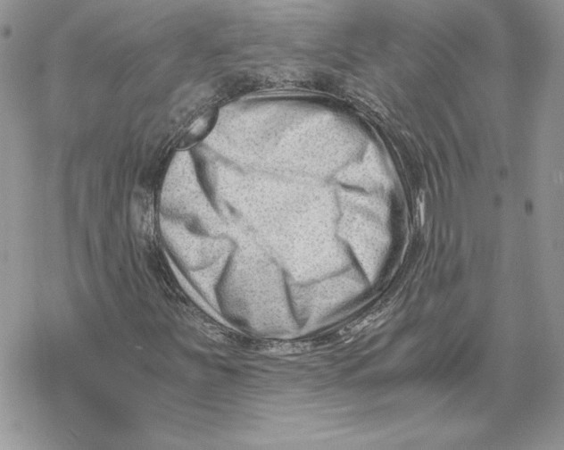 X0000069411251200606021713