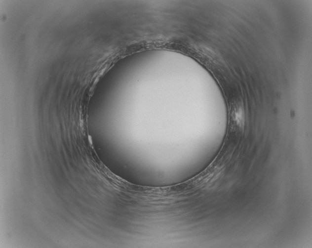 X0000069411252200606021713