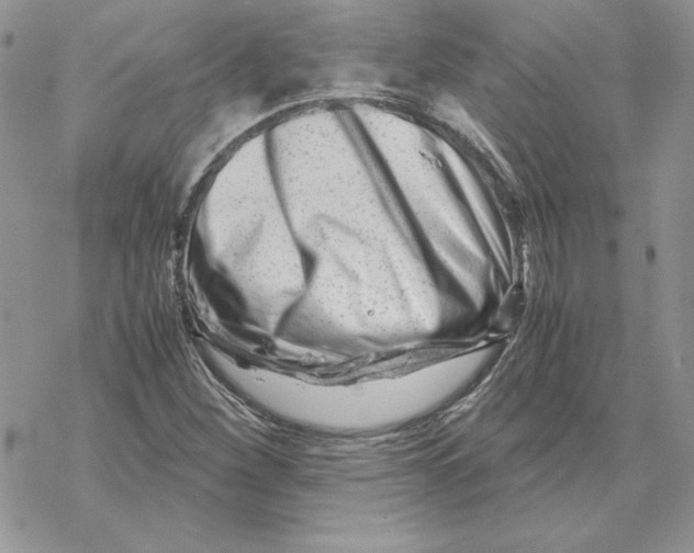X0000069411260200606021713