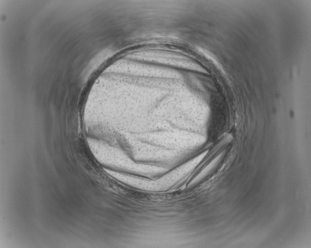 X0000069411267200606021713