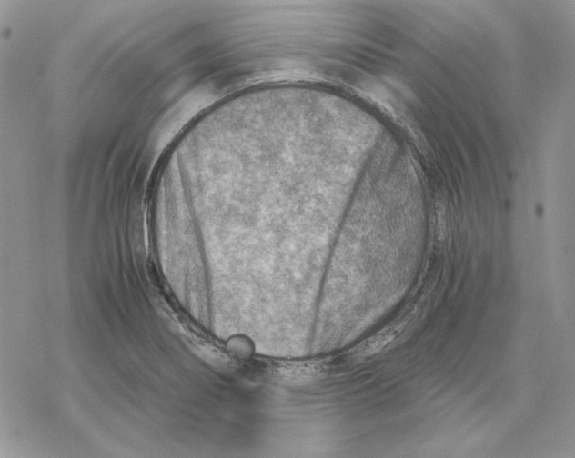 X0000069411274200606021712