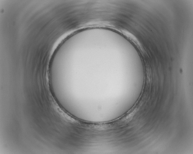 X0000069411288200606021712