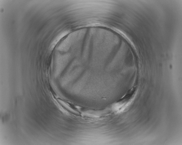 X0000069411289200606021712