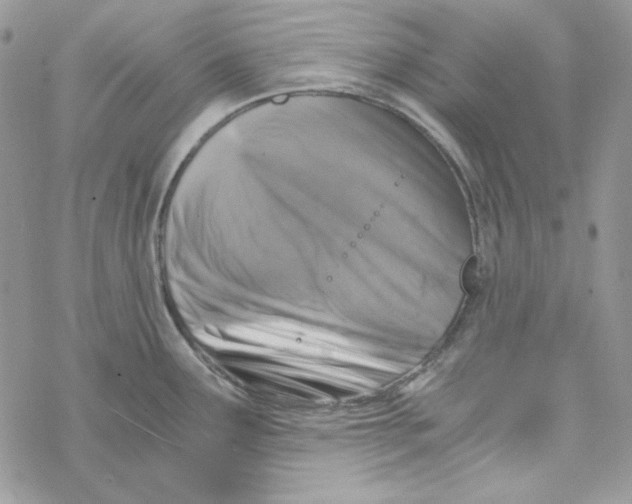 X0000069411291200606021712