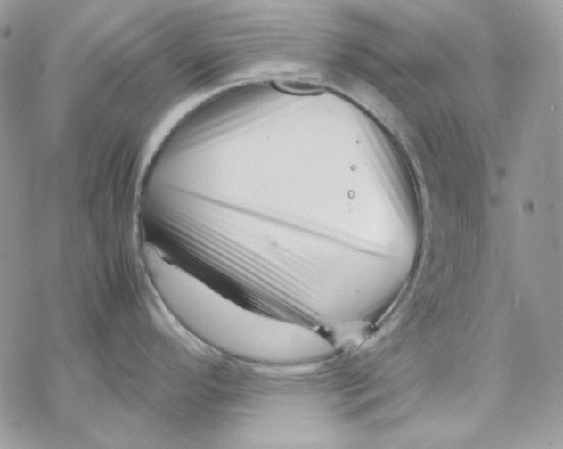 X0000069411296200606021712