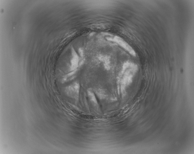 X0000069411297200606021711