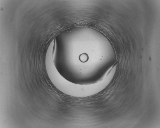 X0000069411298200606021711