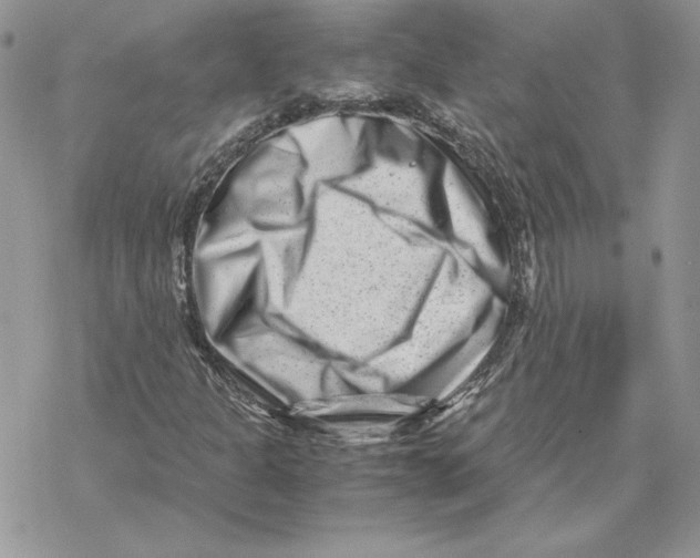 X0000069411301200606021711