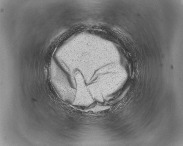 X0000069411302200606021711
