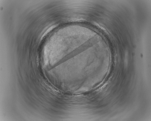 X0000069411306200606021711