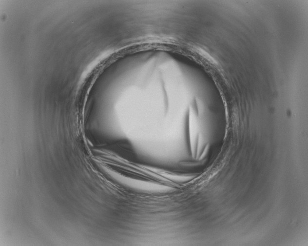 X0000069411310200606021711