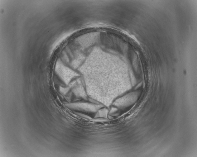 X0000069411311200606021711