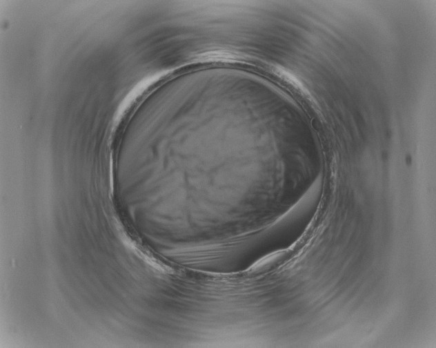 X0000069411323200606021712