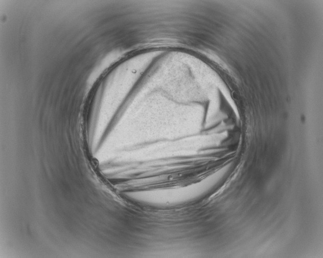 X0000069411325200606021712