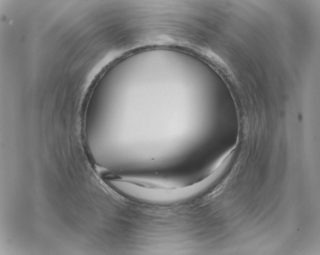 X0000069411326200606021712