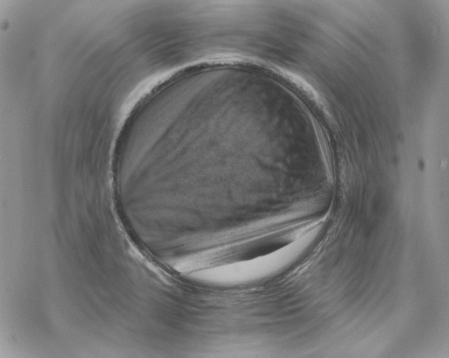 X0000069411327200606021712