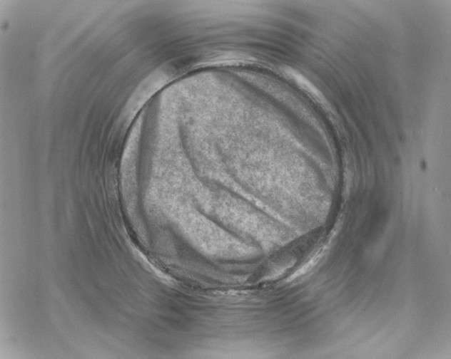 X0000069411329200606021712