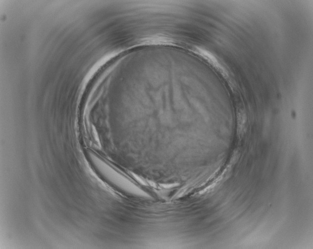 X0000069411331200606021712