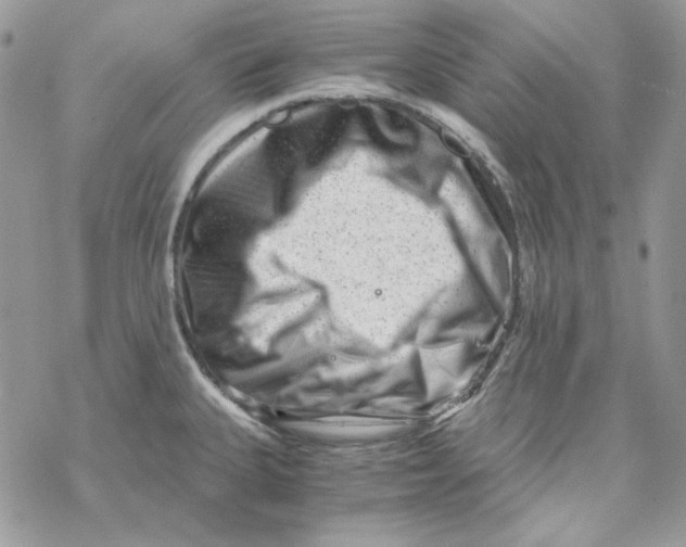X0000069411335200606021712