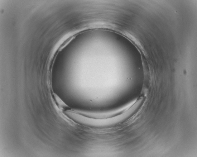X0000069411342200606021712