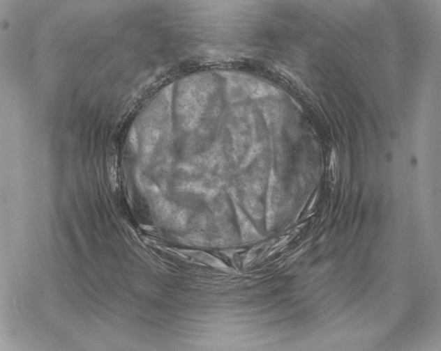 X0000069411348200606021711