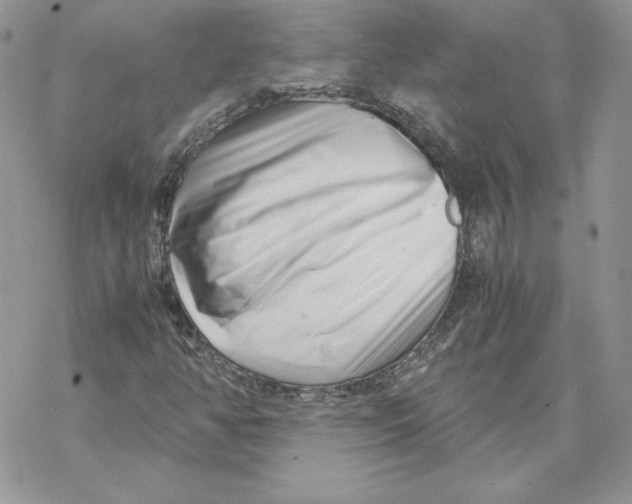X0000069411350200606021711