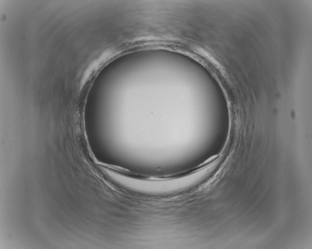 X0000069411357200606021711
