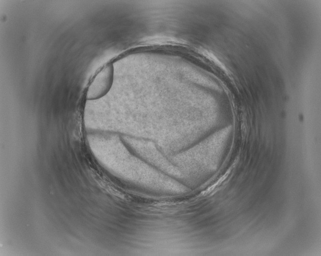 X0000069411358200606021711