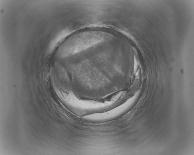 X0000069411359200606021711