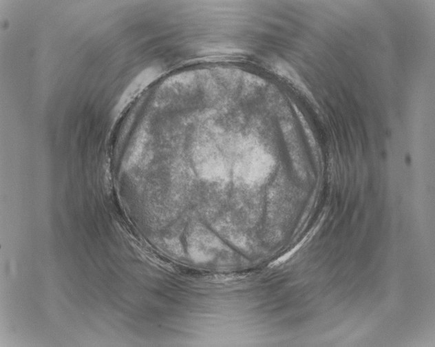 X0000069411362200606021711